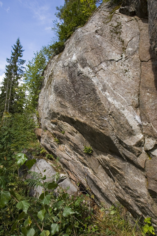 Möhköfantti