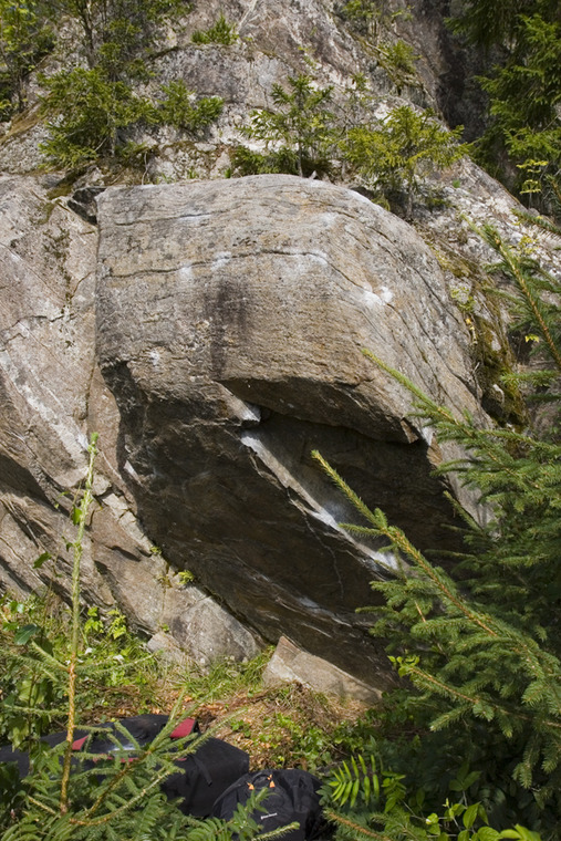 Möhköfantti