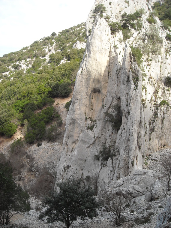 Left pillar