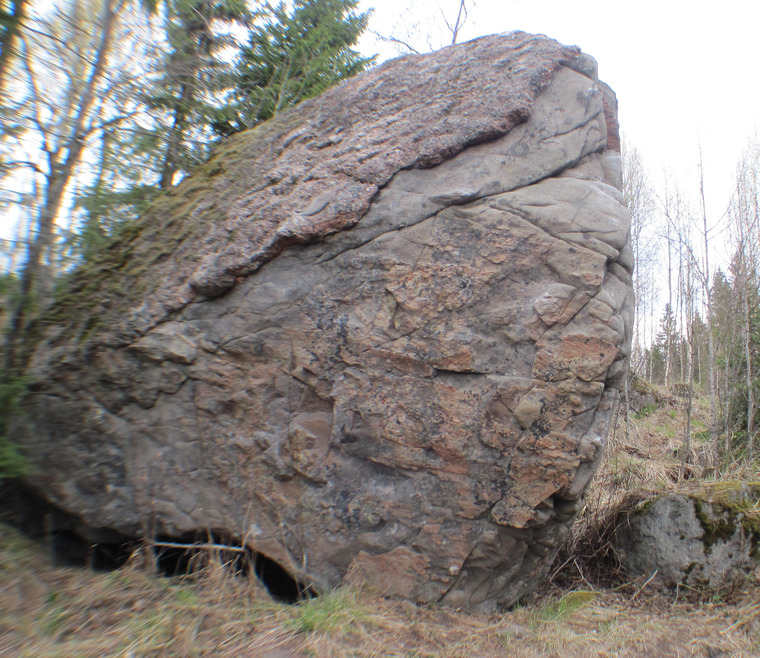 Hieno kivi