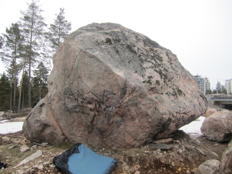 Kivi