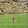 Tiny-d209665a8934